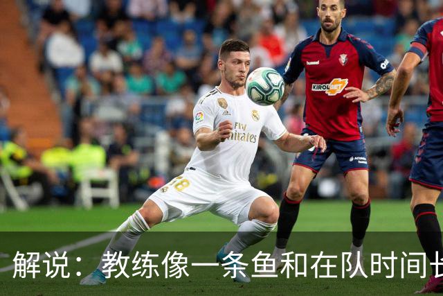解说：教练像一条鱼&在队时间长了就会发臭 杜锋话语出现效应递减